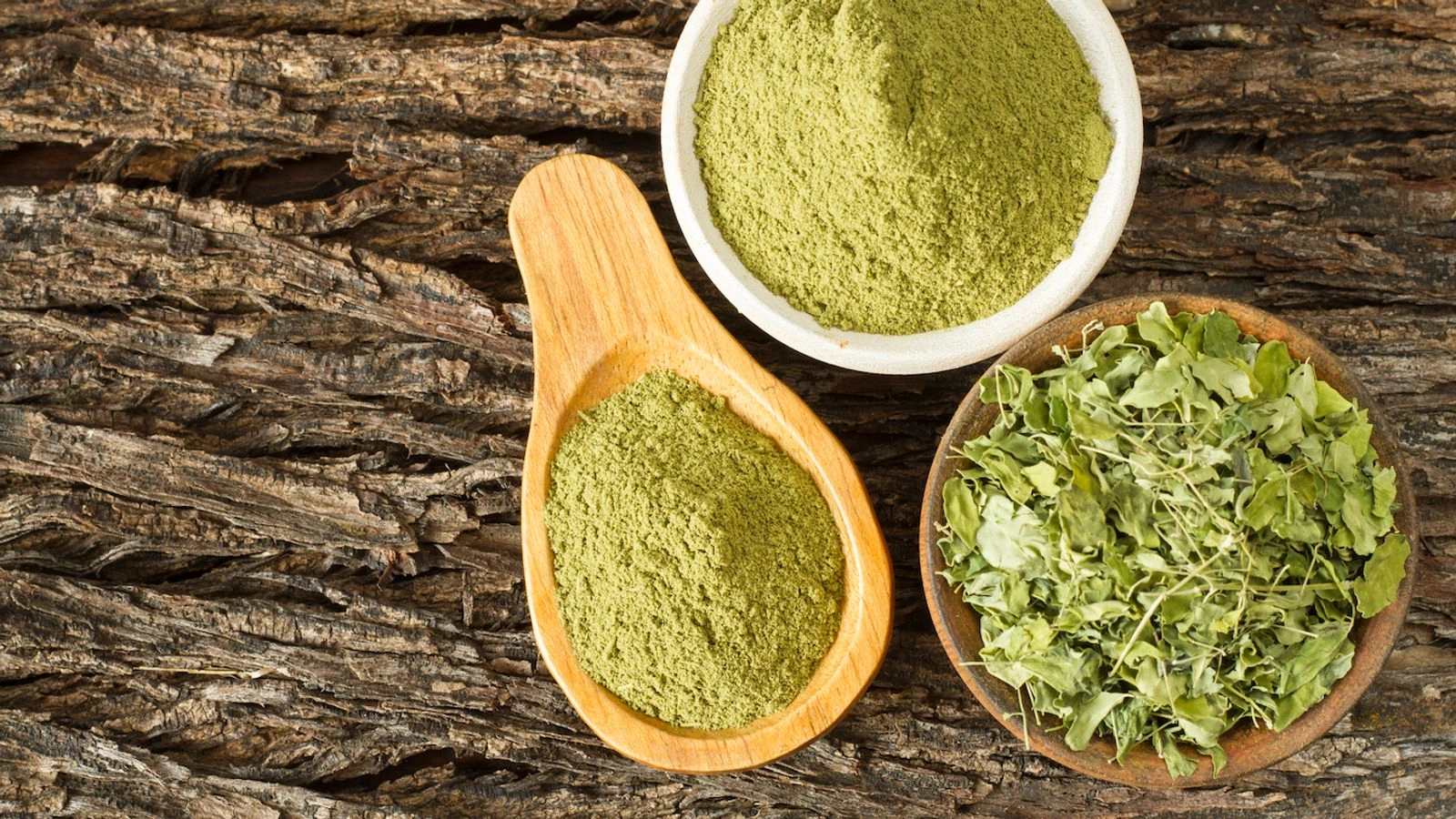 moringa price in pakistan